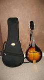 Mandolin by Fender with strap and case
Priced new at Guitar Center
for about $300
FM-53S SB