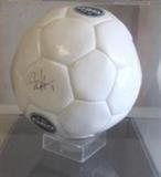 Olympic Winner 1996 Mia Hamm Signed Nike Soccer Ball in Display Case