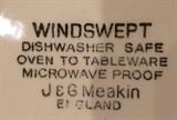 J & G Meakin England "Windswept" Pattern China Set