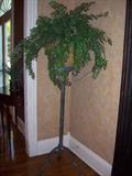 Plant stands, decorative greenery arrangements.