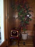 Humidor, decor and more.