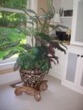 Assorted floral arrangements.