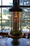 1970s Rain Lamp--works great!