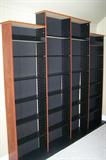 Large open cabinet for CDs, DVDs, VHS, or paperback books.