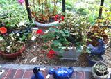 Live plants, pots and garden décor.