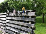 Bird and butterfly houses--and the fence is also for sale.
