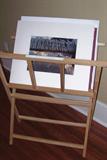Original art/photography--suitable for framing (bin not for sale).