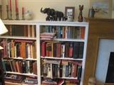 MAN BOOK AND ELEPHANTS
