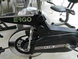 Ergo Recumbent Bike