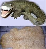 Animal Skin Rug and Alligator