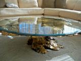 Unique Tree Trunk Coffee Table with Glass Top