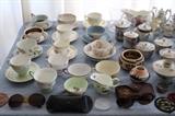 Cups and saucer collection
