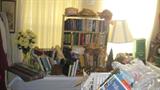 Books, vintage posters and Travel brochures, and written journals.