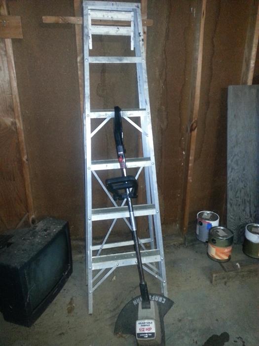 Ladder and electric Craftsman weed eater