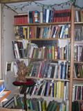 AND MORE BOOKS