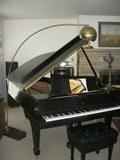 Another view of Steinway B