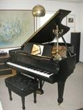 Steinway "B" from 1984.  Beautiful instrument; includes bench