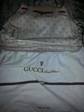 Gucci purse with storage bag
