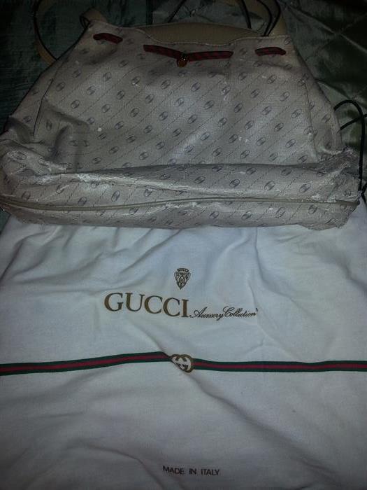 Gucci purse with storage bag