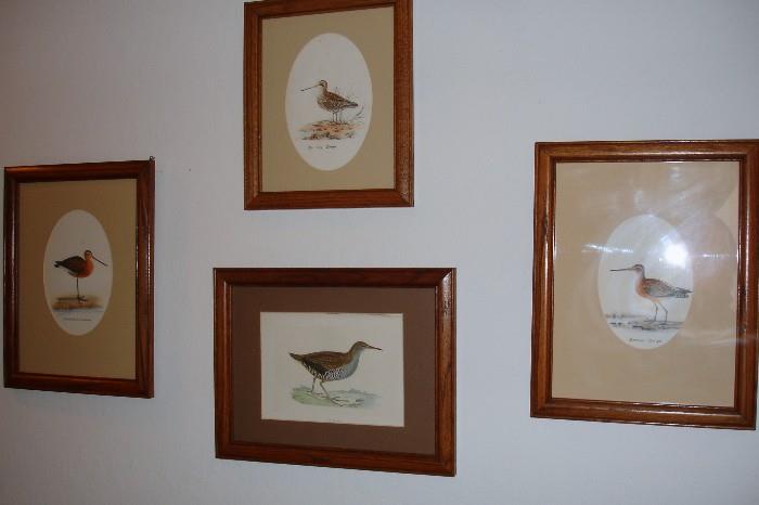 Framed bird prints