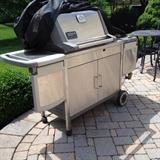 Weber Genesis Platinum Grill