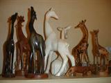 Collection of Giraffes