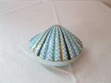 Herend shell