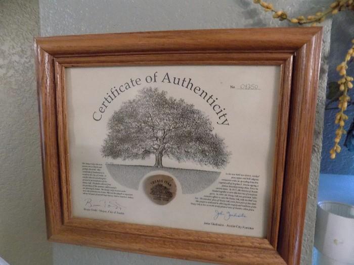 Treaty Oak certificate