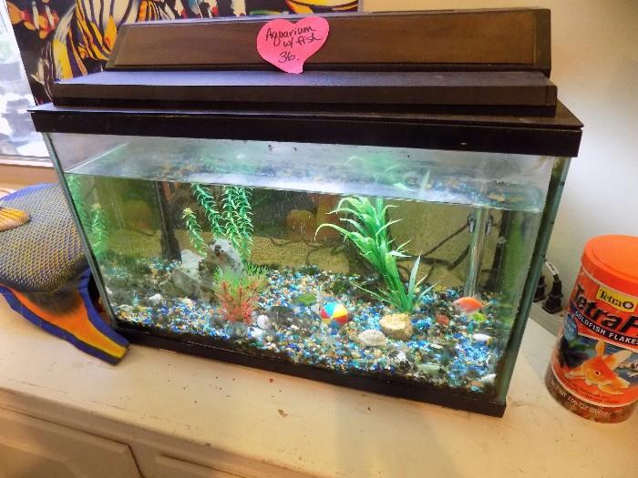 30 gallon Aquarium and fish