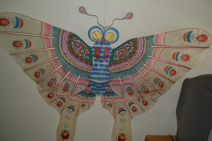 Butterfly from Bejing