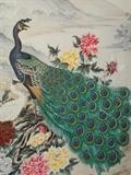 BEAUTIFUL PEACOCK ART PRINT