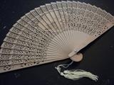 CHINESE FAN