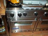 Viking Professional 6-Burner Gas Range/Oven