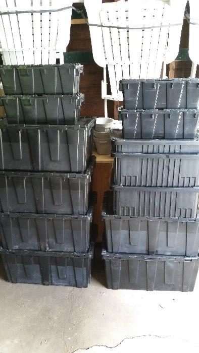black storage totes - we have about 50!