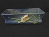 Roseville Freesia