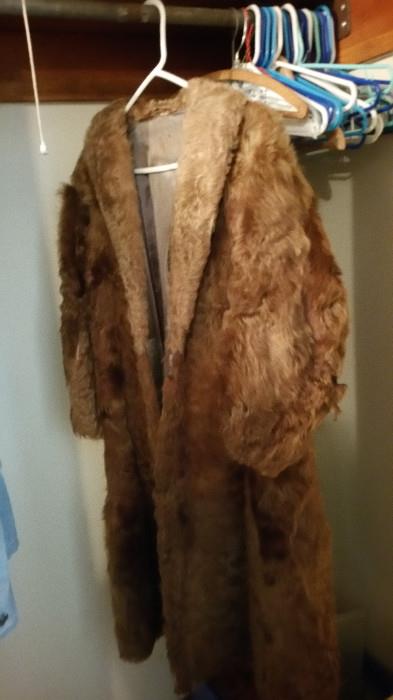 fur coats/ wraps