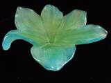 DAUM FRANCE CRYSTAL PATE DE VERRE AMARYLLIS BOWL, IN ORIGINAL BOX