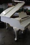A19 #1 Schimmel White Laquer Gold Trim 1973 5’1” Baby Grand Piano #141640 Condtionf 9/10