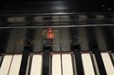 C65#5 Wurlitzer 1954 Spinet Piano Black 38’ Keys rough Condition of 7 #514246