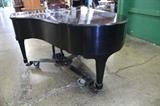 A19 #1 Steinway & Sons 5’101/2 Model “O”
1916 Balck Satin Baby Grand Piano #178413 Condition of 10