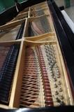 A19 #1 Steinway & Sons 5’101/2 Model “O”
1916 Balck Satin Baby Grand Piano #178413 Condition of 10