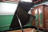A19 #1 Steinway & Sons 5’101/2 Model “O”
1916 Balck Satin Baby Grand Piano #178413 Condition of 10