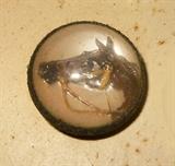 Small Horse under Glass Button with Metal Trim