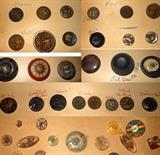 Many Buttons in many different materials with hand written notes; Dragons, Fans, Bat, Butterflies and more