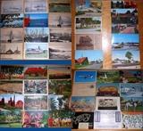 Antique and Vintage Postcards of Sea Going Vessels, Gorgeous Plants and so much more