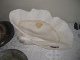 large clam shell