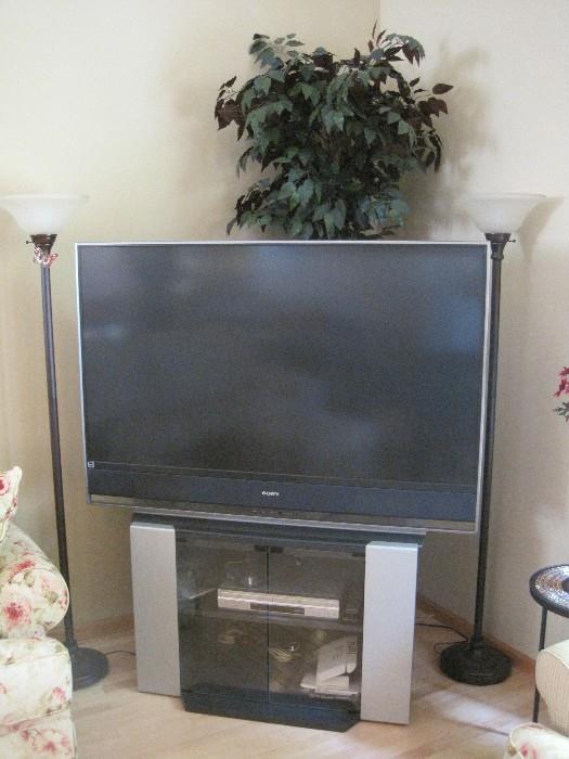 Large screen TV and stand. A pair of floor lamps.