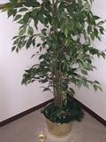 FAUX POTTED TREE ( HOME DECOR')