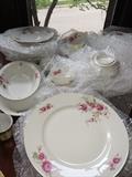 Eschenbach Bavaria-Germany China set--8 six-piece place settings (minus one salad plate) plus serving, total 51 pieces.
