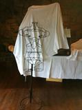 Anatomically correct male torso sculpture